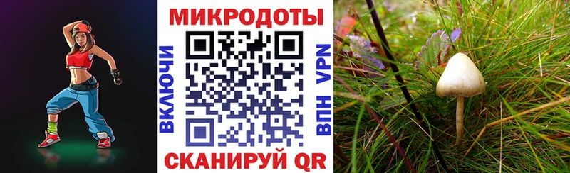 KRAKEN рабочий сайт  как найти наркотики  Курильск  Псилоцибиновые грибы Psilocybine cubensis 